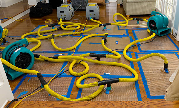 Professional Sewage Cleanup technician working in Coalinga, CA